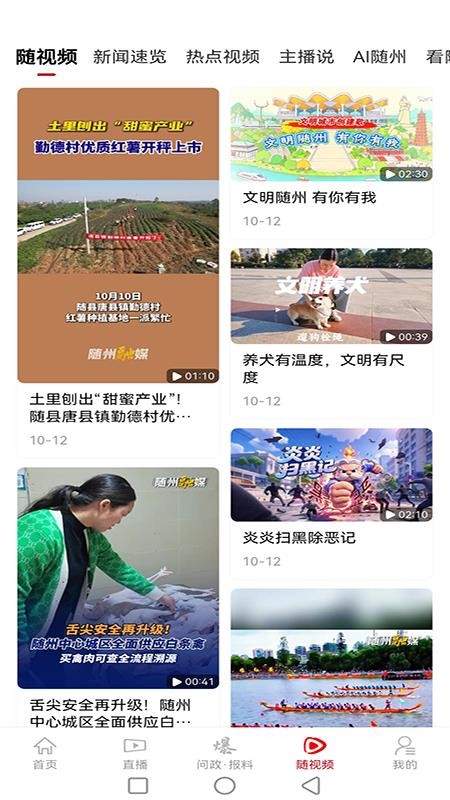观随潮官网版v1.0.1 1