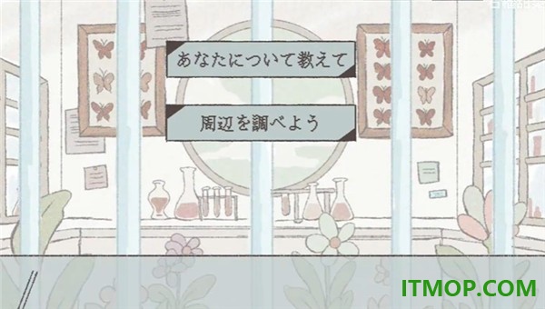 在标本箱中等待羽化游戏