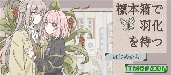 在标本箱中等待羽化游戏