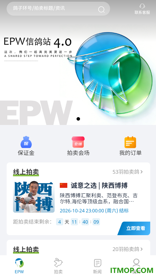 信鸽站最新版