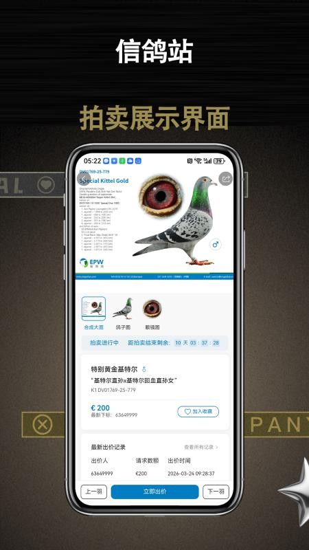 信鸽站最新版v1.0.14(2)