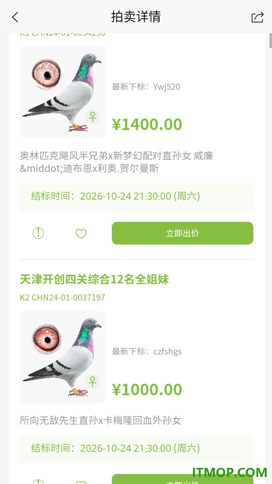 信鸽站最新版