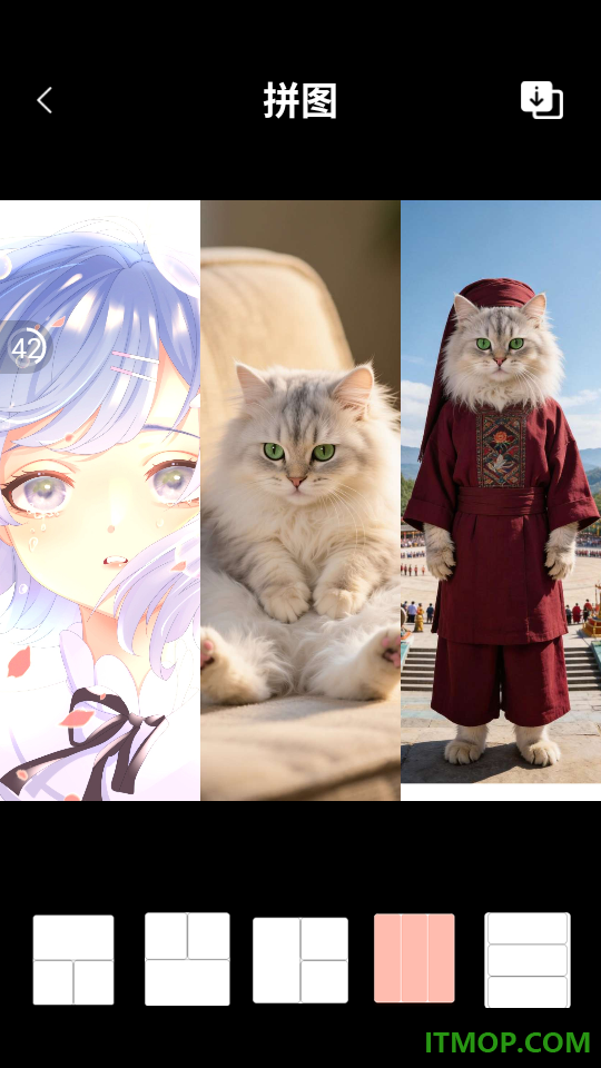 我的宠物最新版