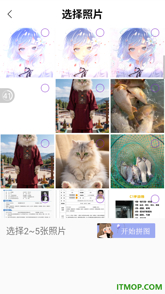 我的宠物最新版