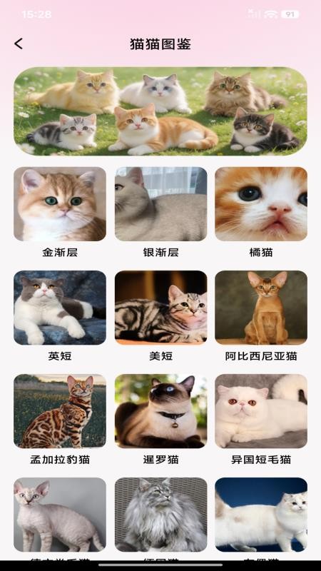 猫狗语音翻译官手机版v1.0.0 3