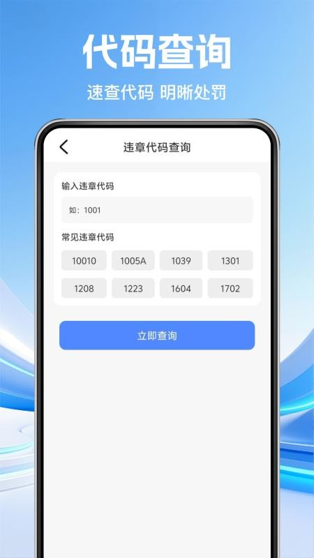 车辆违规规则指南最新版v1.0.1(1)