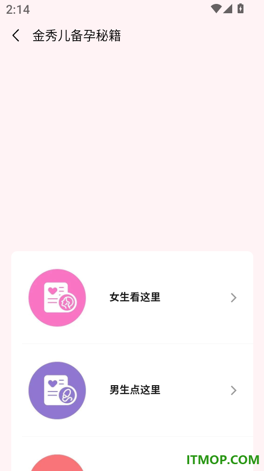 金秀儿最新版