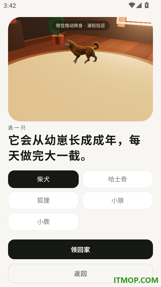 领宠最新版