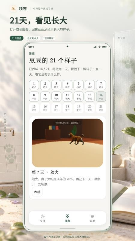 领宠最新版v1.0.37 2