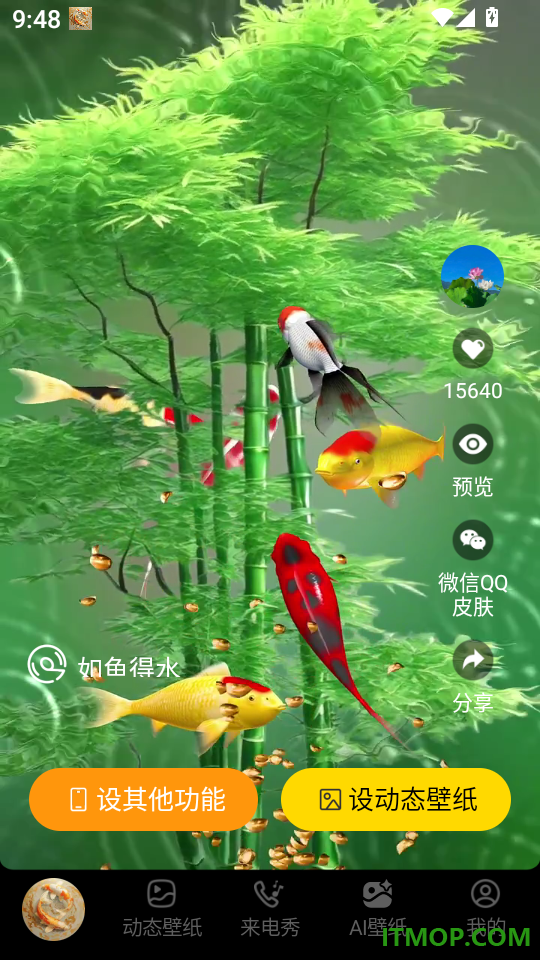 手机锦鲤壁纸免费版