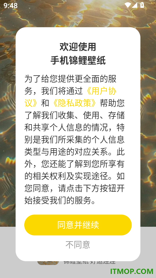 手机锦鲤壁纸免费版