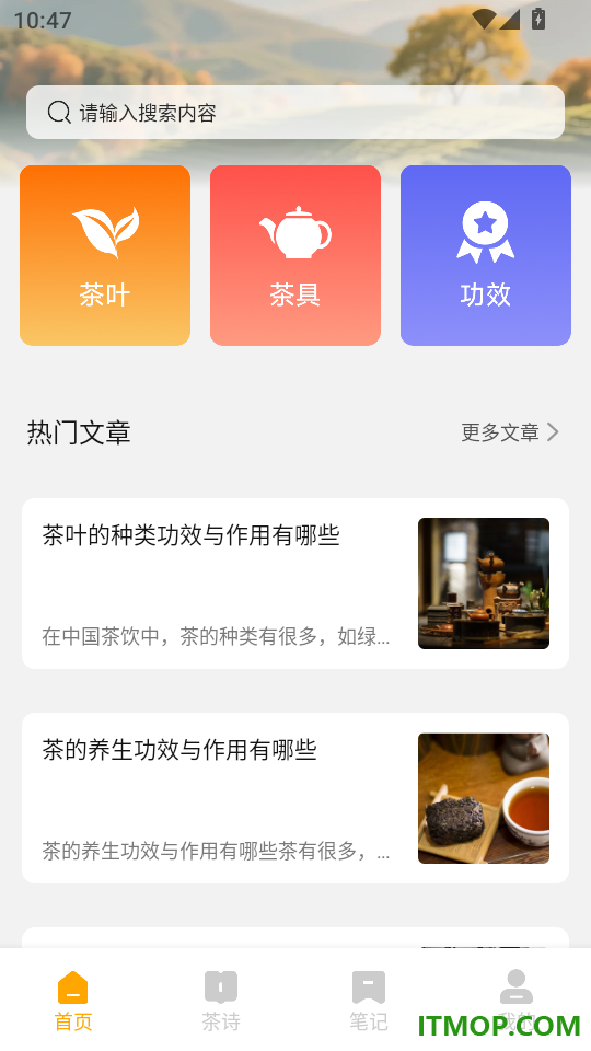 黄芽官方版