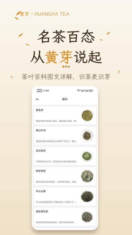 黄芽官方版v1.1(3)