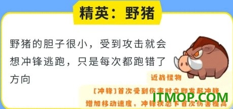 小鸡舰队出击游戏