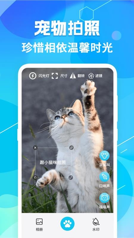猫语翻译pet手机版v7.1.7137(3)