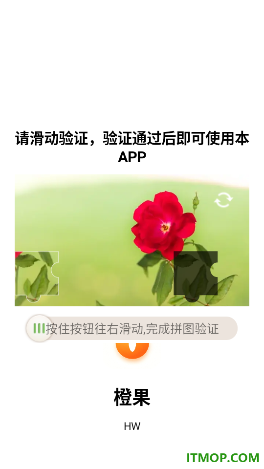 橙果最新版
