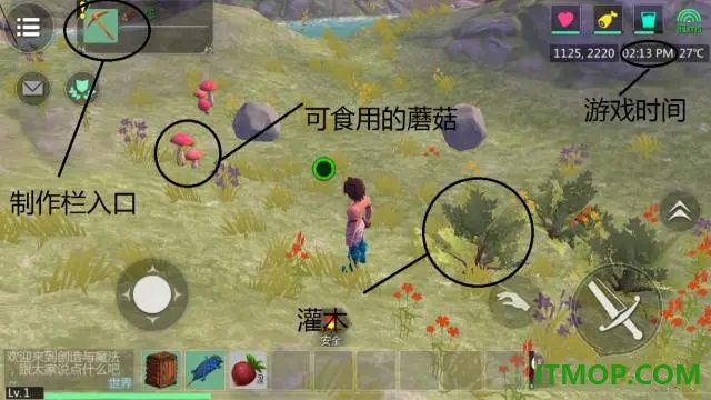 创造与魔法游戏