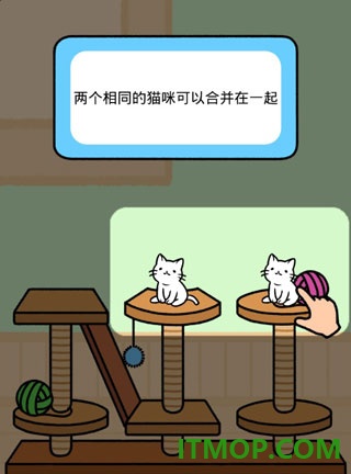 猫咪公寓游戏