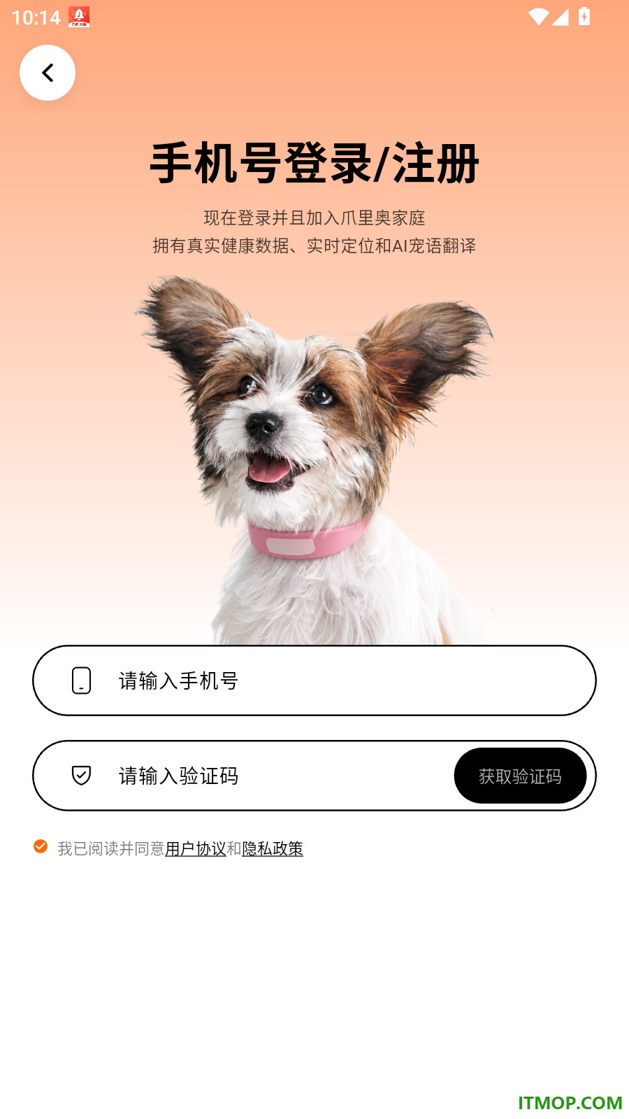 爪里奥最新版