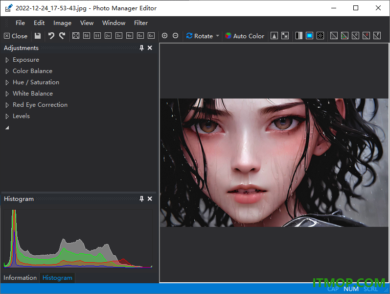 ​photo manager pro(照片管理器)