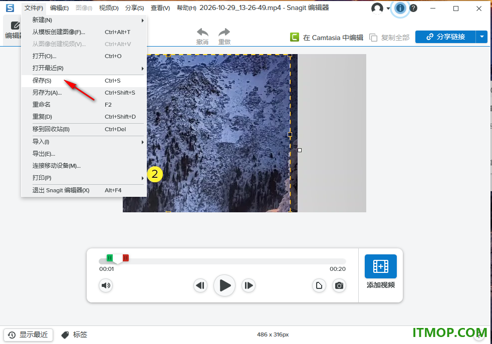 techsmith snagit 2026中文特别版