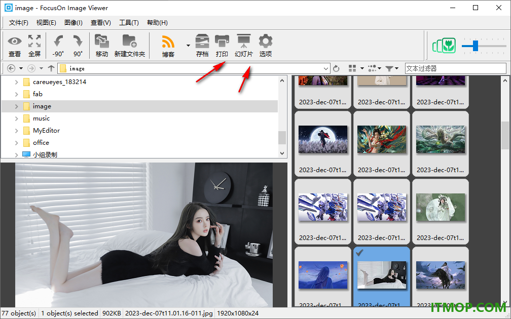 FocusOn Image Viewer(图片浏览工具)
