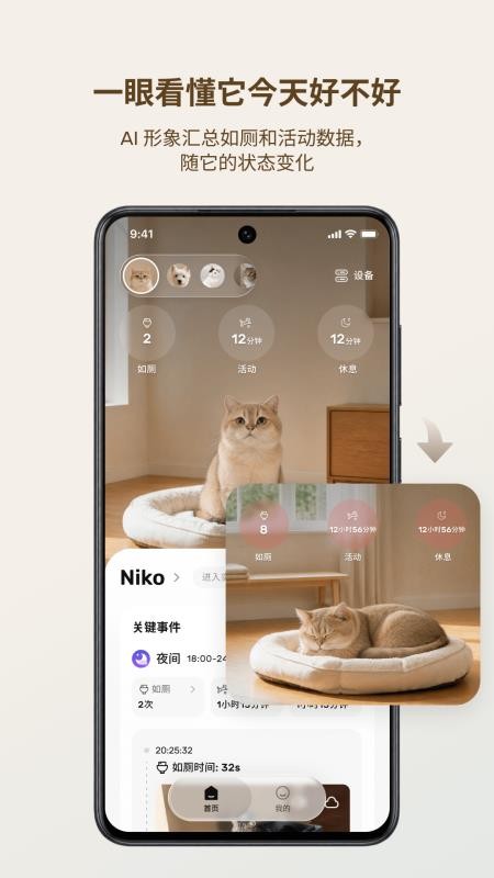 悉宠最新版v2.0.1 5