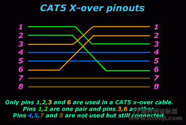 CAT5 UTP澀