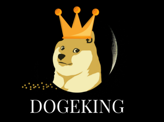 dogeking币多少才分红，dogeking最高涨了多少倍？