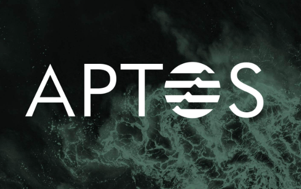 公链APT与SOL哪个潜力大 APT币未来能超过SOL吗