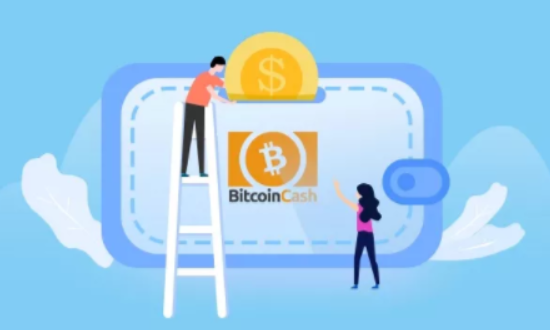 比特现金怎么样 比特现金是山寨币吗