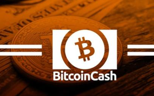 比特现金是哪一年开始发行的呢？比特现金发行时间介绍
