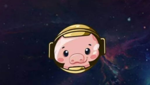 猪猪币上在哪个交易所？猪猪币上线的交易所推荐