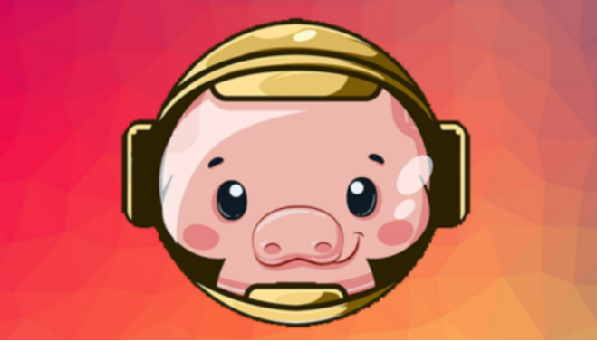 猪猪币合法吗，猪猪币有什么风险呢？猪猪币解密