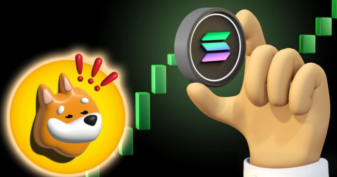 bonk币会不会是千倍币，bonk币有潜力吗？bonk币的前景分析