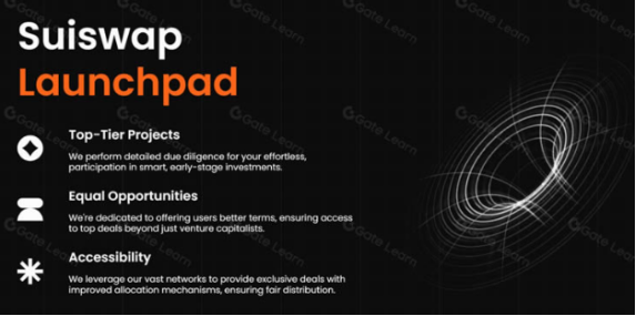 sswp币是百倍币吗,sswp币可以长期持有吗?sswp币投资前景分析