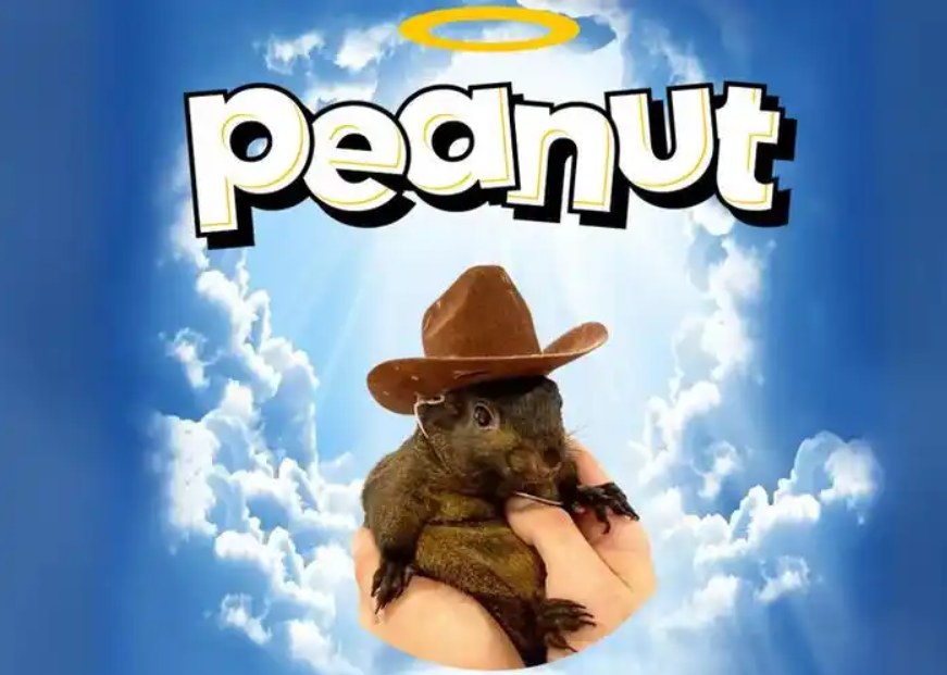 pnut币怎么买，pnut币在哪里买？pnut币购买交易指南
