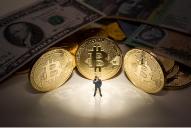网币是干什么的，网币都有哪些？网币投资入门介绍