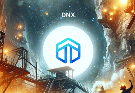 dynex币未来前景怎么样？2025年dynex币未来前景分析