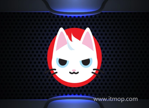 MEW币在某些国家未获认可