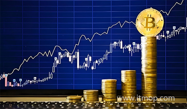币交易所并非特定于某一国家