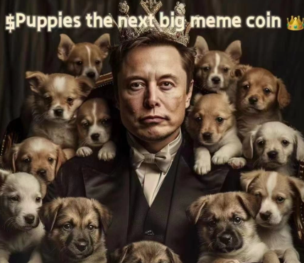 puppies币发行量多少？puppies币发行总量介绍