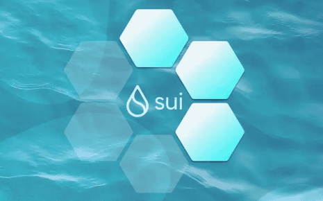 sui币值得投资吗？sui币投资价值解析