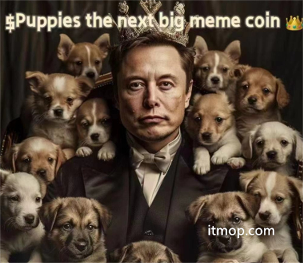 puppies币发行量介绍