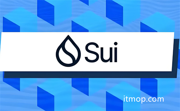 sui确实是一条公链
