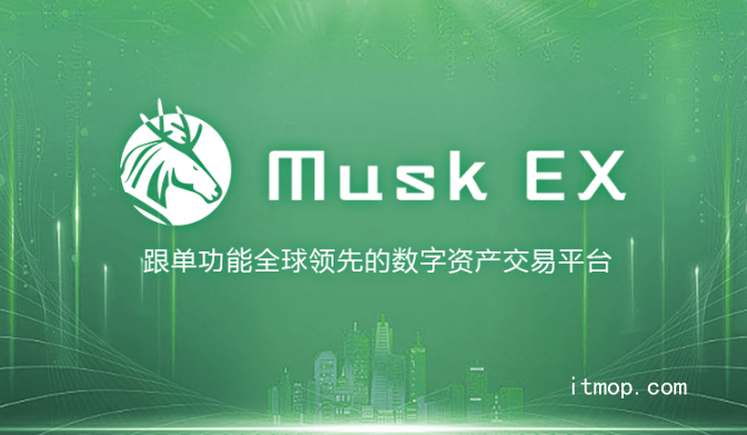 muskex交易所排名100位以内吗？