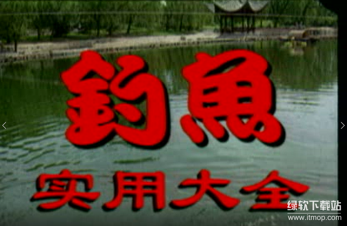 钓鱼垂钓技巧实战宝典