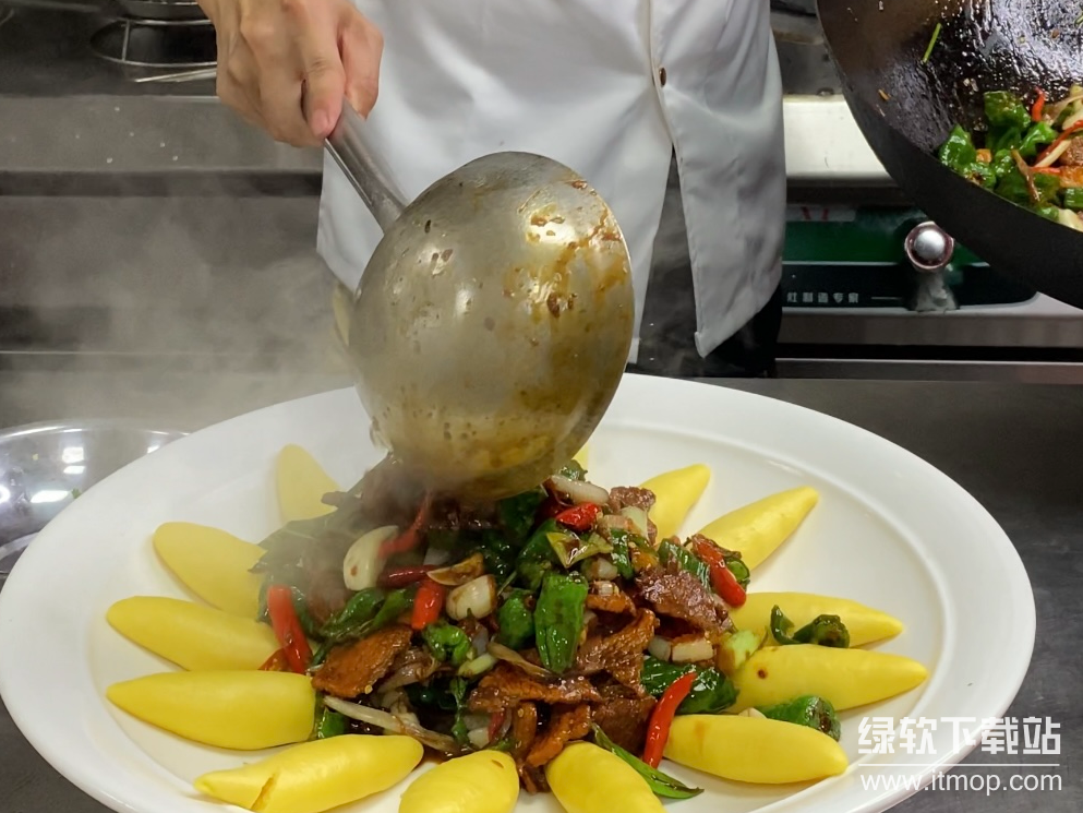 创业资料价值几万的小吃美食教程：零基础也能月入3万+下载  4