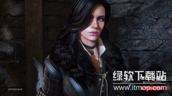 巫师3次世代版破解版下载 V14504303 0