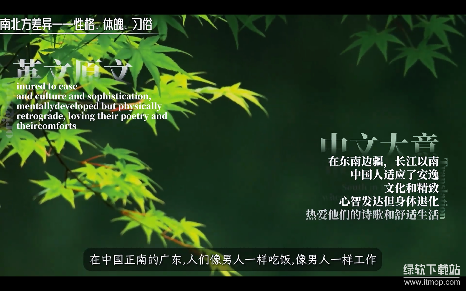 木鱼水心B站充电专属视频合集：高清完整版下载下载 3